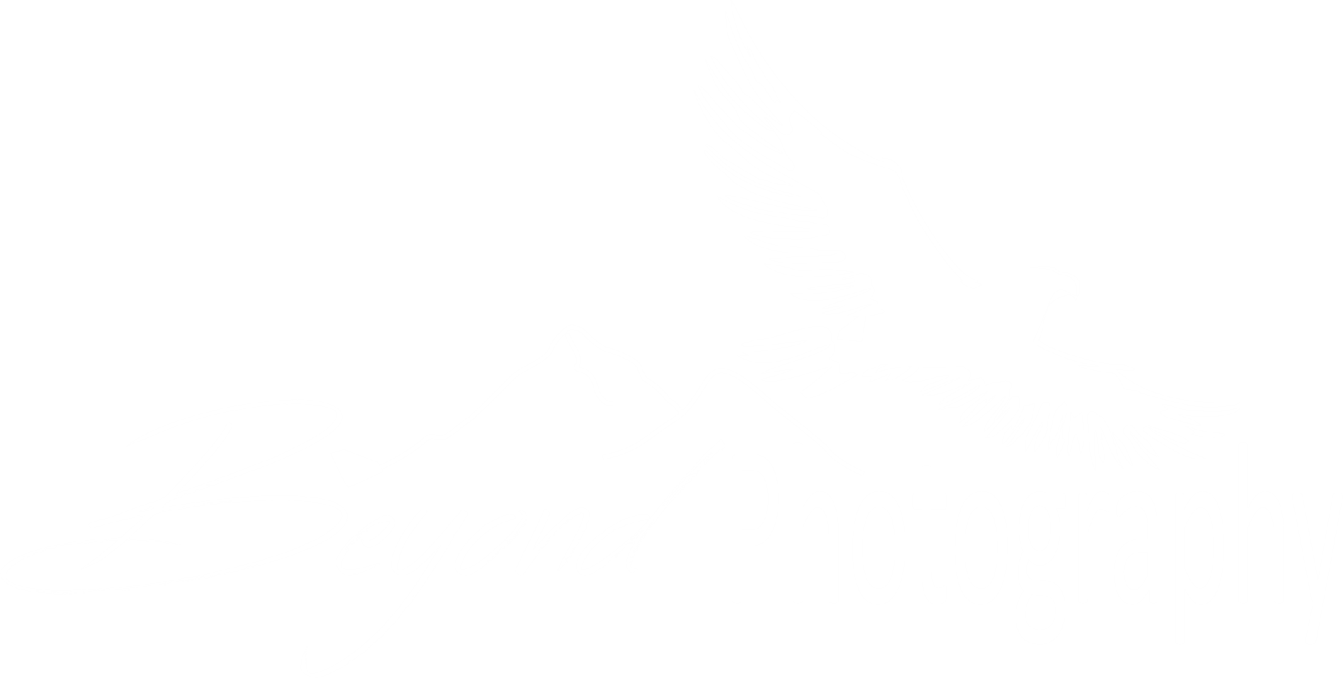 anewwhitelogo